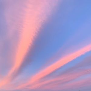 Meet your Posher, Abong'o